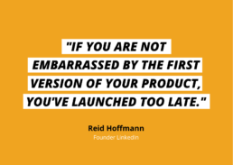 Quote für Startups zum Minimum Viable Product MVP von Reid Hoffmann Linkedin